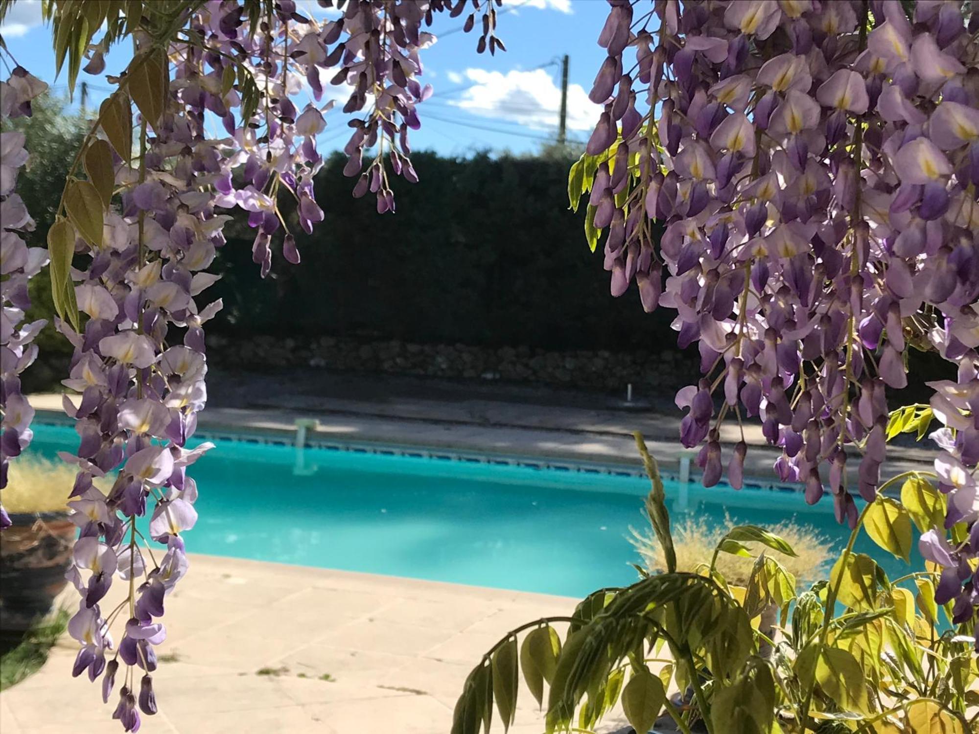 Hotel Le Patio Fleuri Lorgues Esterno foto
